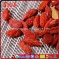 Health organic and conventional goji berry with low price